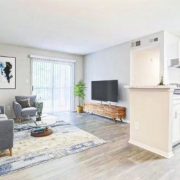 Open space living area with natural lighting